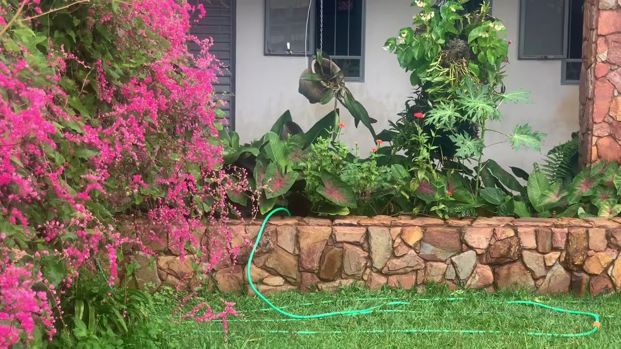 Natureza e energia
