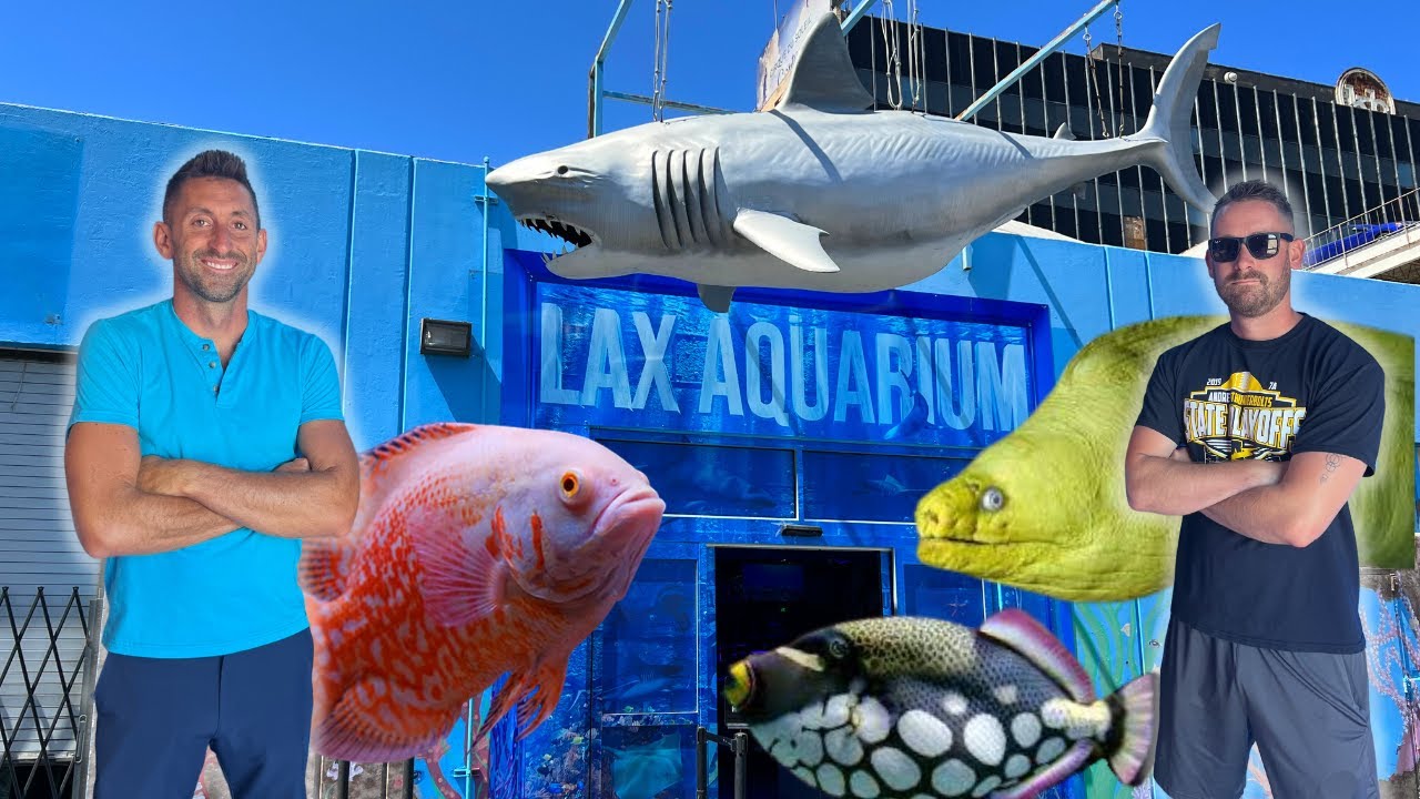 Private Tour of LAX Aquarium: One of the Coolest Fish Store Experiences