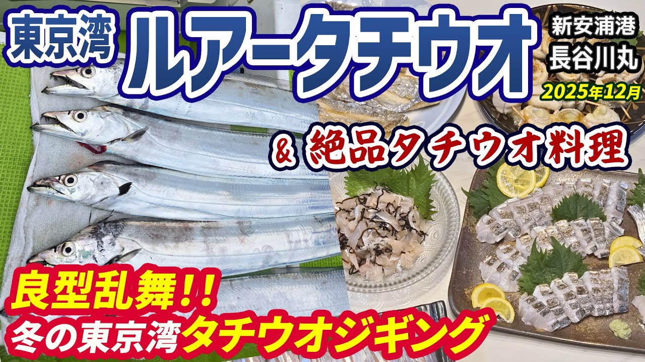 【ルアータチウオ】冬の東京湾タチウオジギング◆良型乱舞!!◆絶品タチウオ料理【新安浦港 長谷川丸】《4K動画》2025.12.21