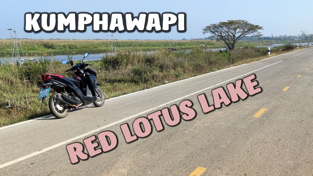 Red Lotus Lake - Kumphawapi (Udon Thani, Thailand)