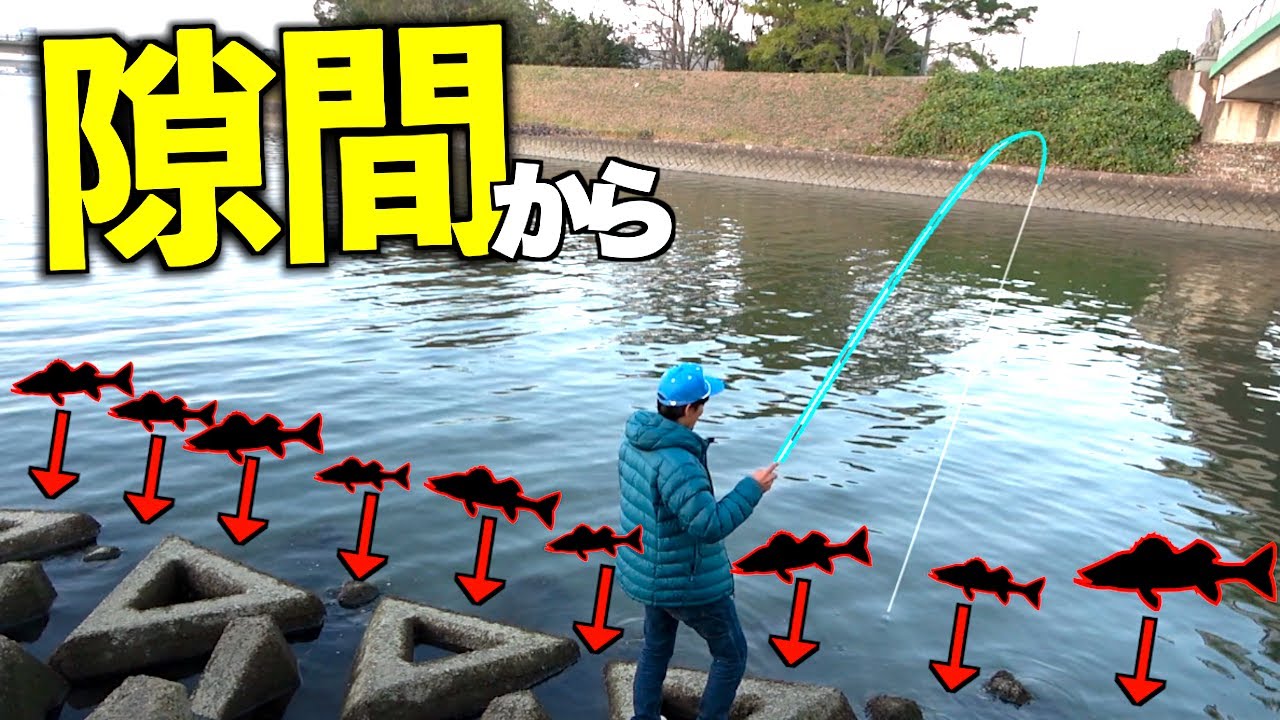 テトラの隙間に餌を入れると・・・！？