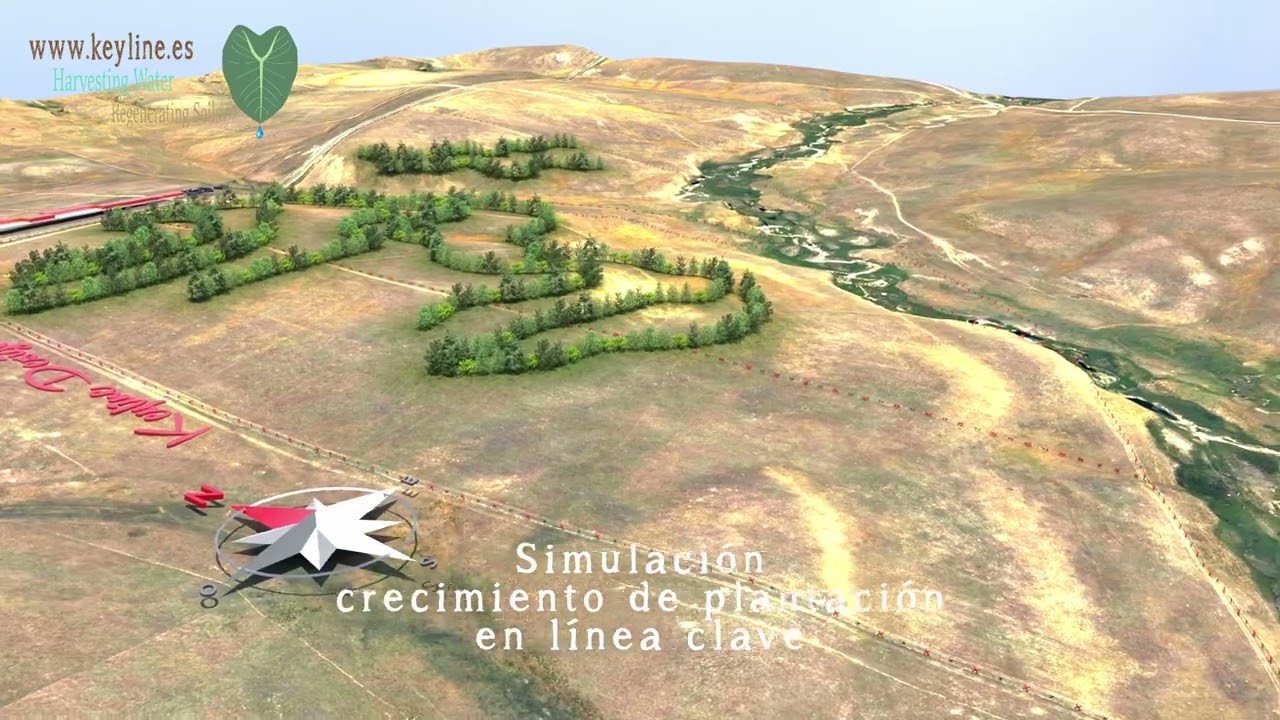 Simulación Crecimiento reforestación en Línea Clave Parte II