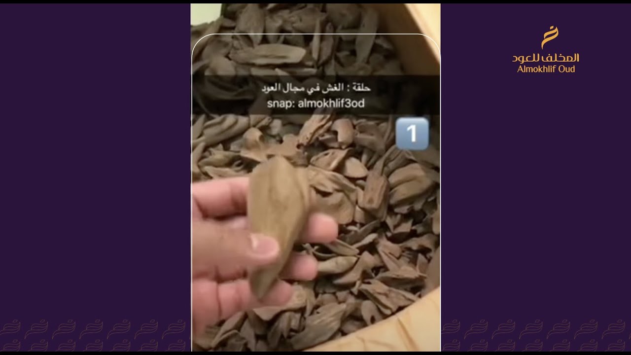 الغش في مجال العود.  سناب المخلف للعود almokhlif3od.