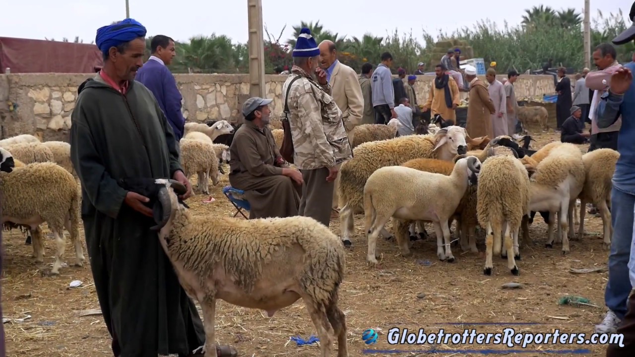 Le grand marché de Inezgane au Maroc