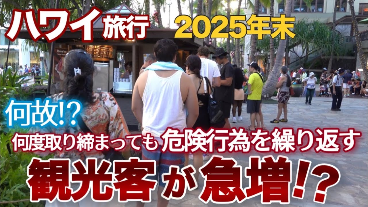 【ハワイ旅行】とんでもない危険行為を繰り返す観光客が急増！取り締まりは強化される！証拠画像はばっちり映っているのが分かっているのになぜ増える？|ハワイの今|ハワイ旅行情報|