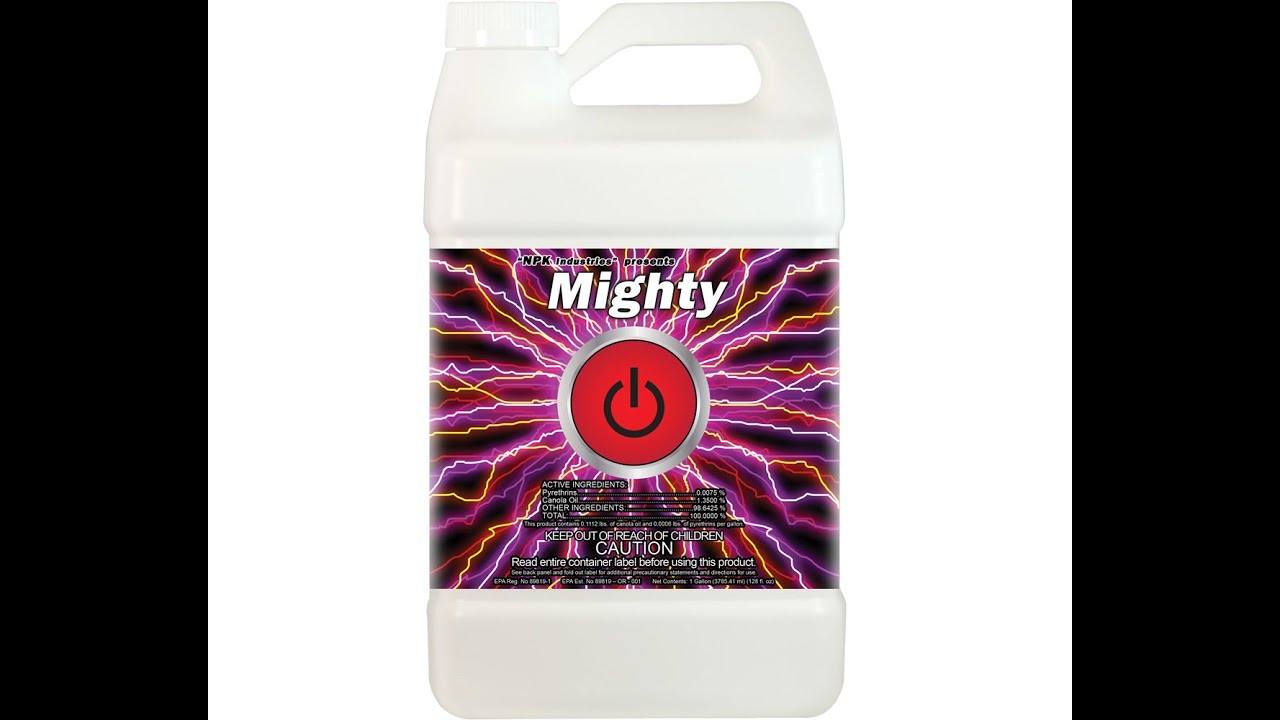 Simple ways to kille spider mites