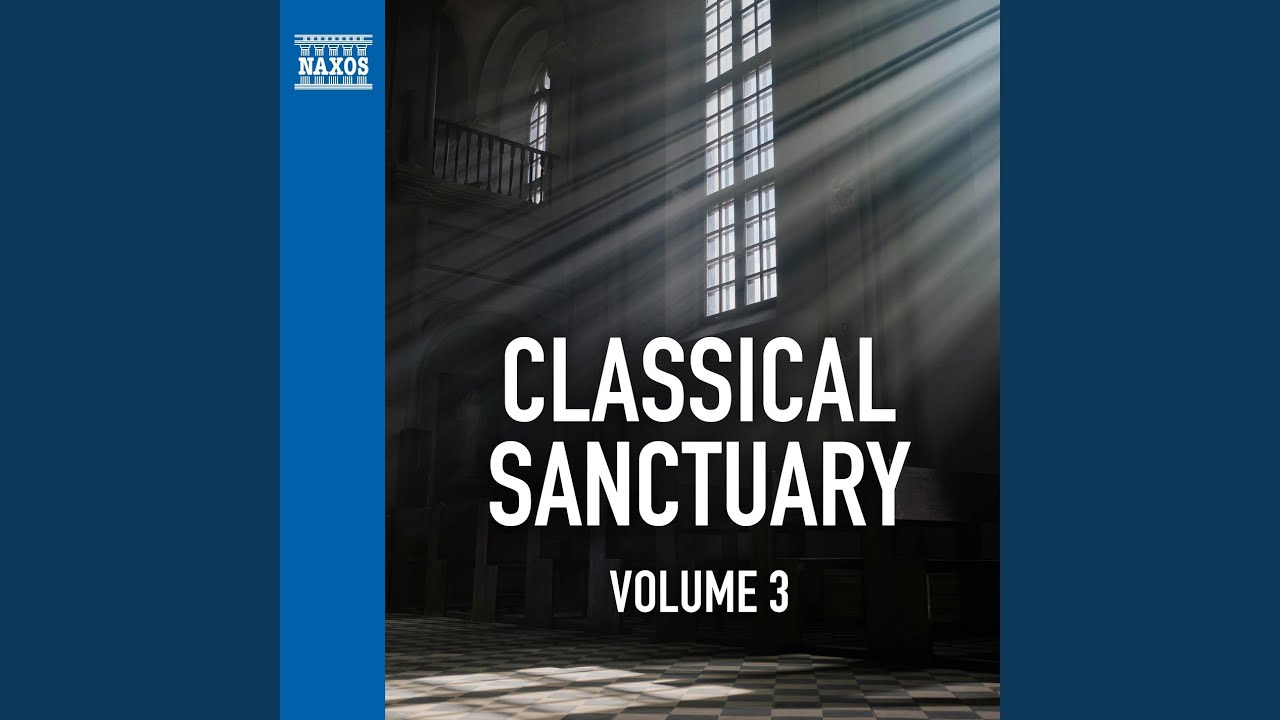 Violin Concerto No. 8 in E Minor, Op. 13: II. Adagio