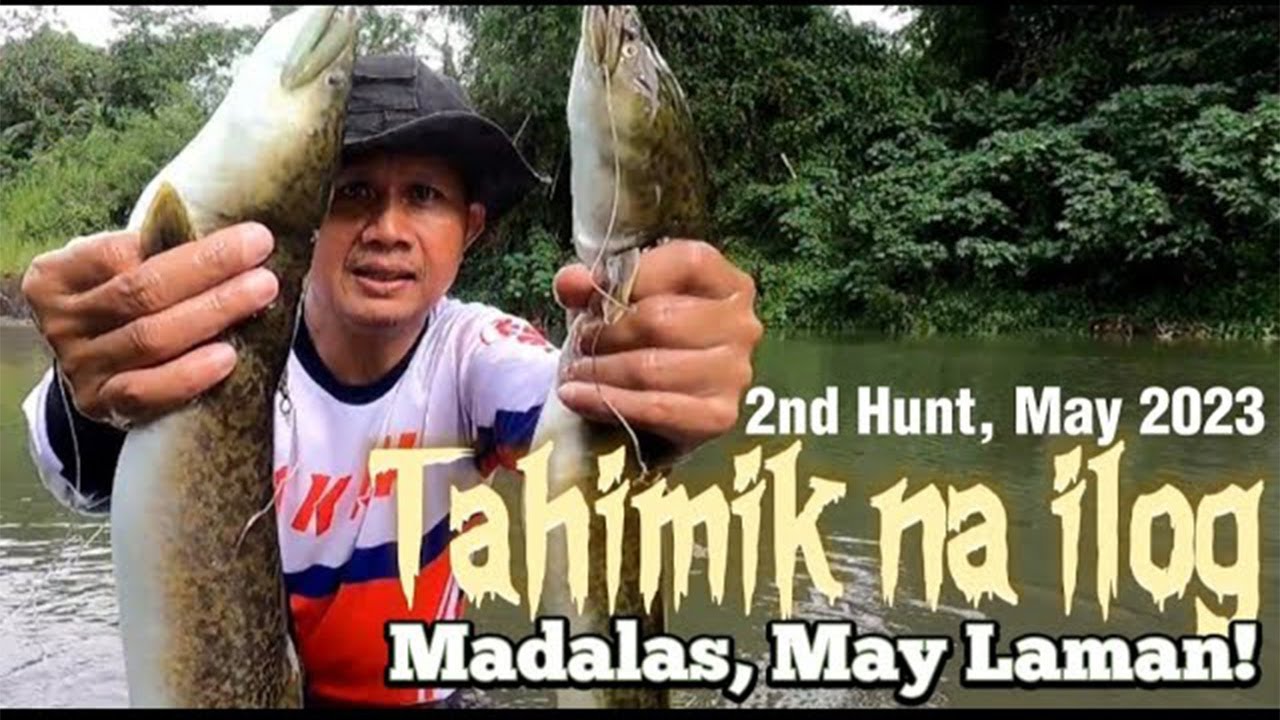 Igat hunting sa tahimik na ilog, sigurado ang huli!