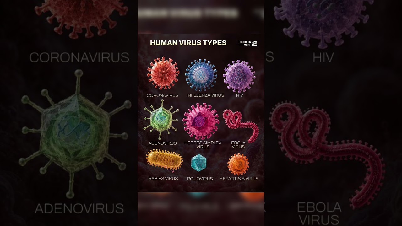 King of Viruses #virus #king #coronavirus #hantavirus #corona #india #riseforce
