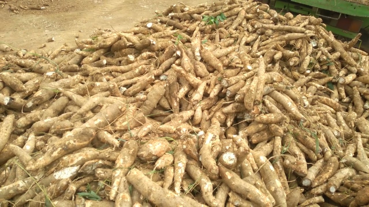 Semoga bisa jadi edukasi untuk kita semua