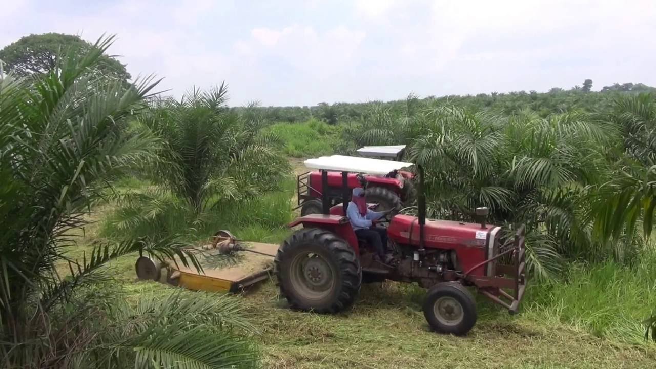Esto es Juarez, Chiapas