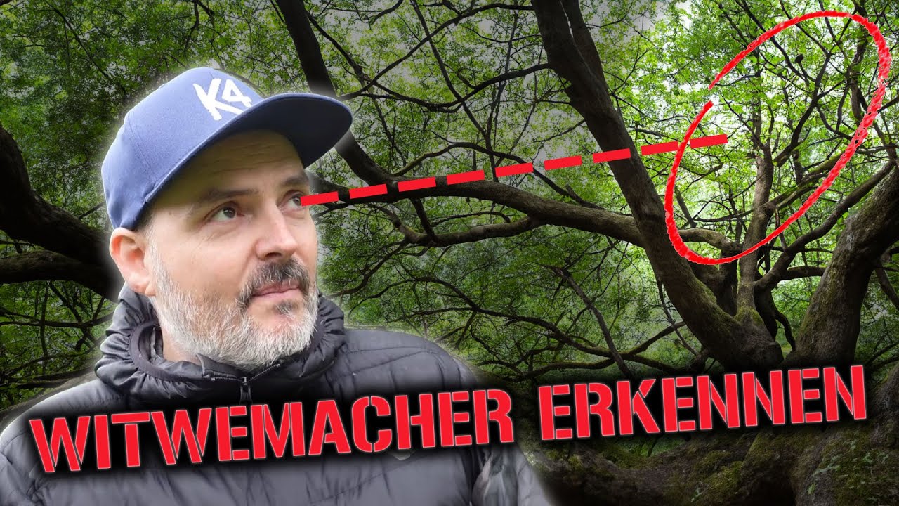 Gefahr! Witwenmacher finden bei der 6W Regel