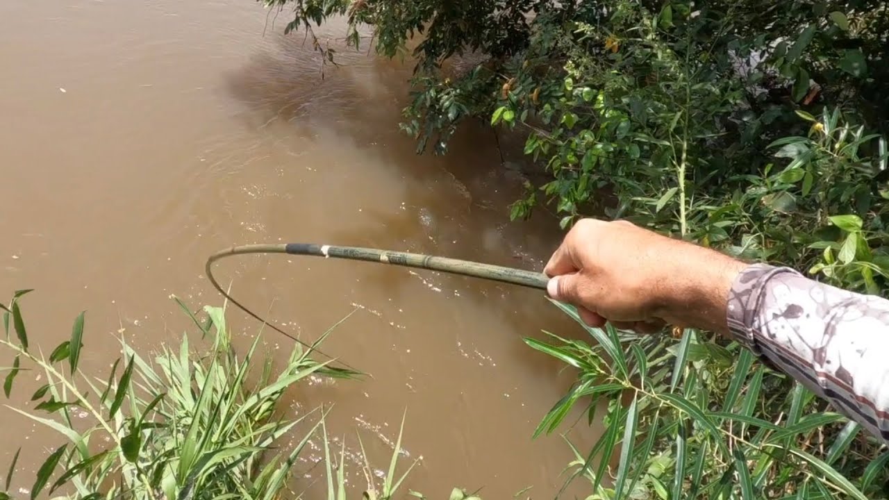 CARDUME ESTAVA NESSE RIO, MÁS O SUSTO FOI GRANDE, OLHA SÓ ISSO!!!!