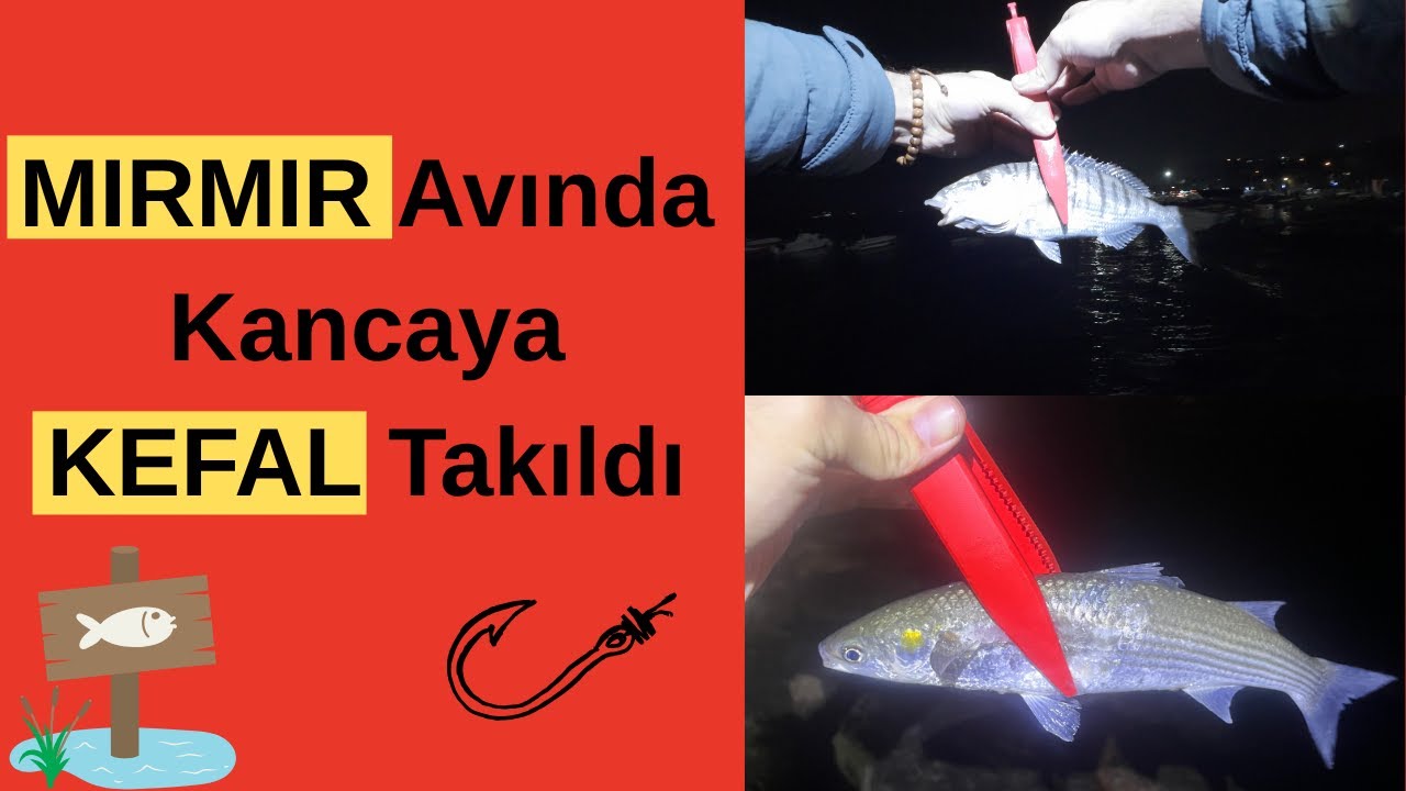 MIRMIR Avı ve Kancaya Takılan ŞAŞKIN KEFAL!