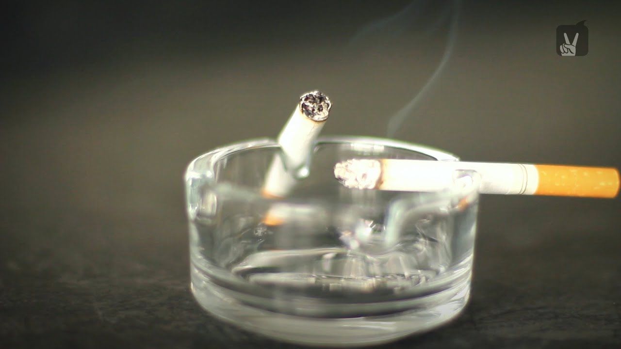 Gefahren des Rauchens: Professor Frob&ouml;se kl&auml;rt auf!