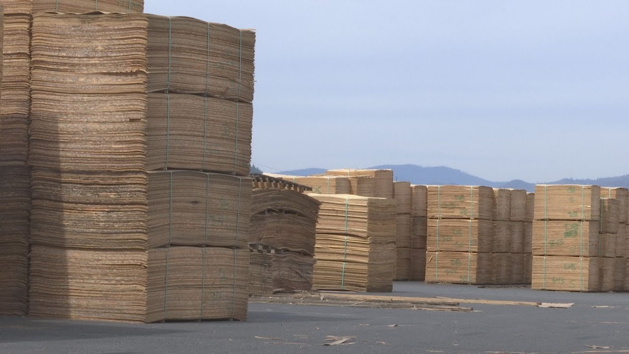 New Chinese tariff boosts local timber industry