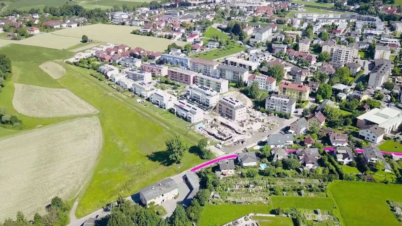 Donaulauf Ottensheim | Streckenführung 2019