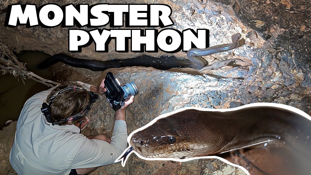 Sharing Outback QLD with one MONSTER PYTHON! Exploring the Outback on Dirt Bikes, we find an Oasis!
