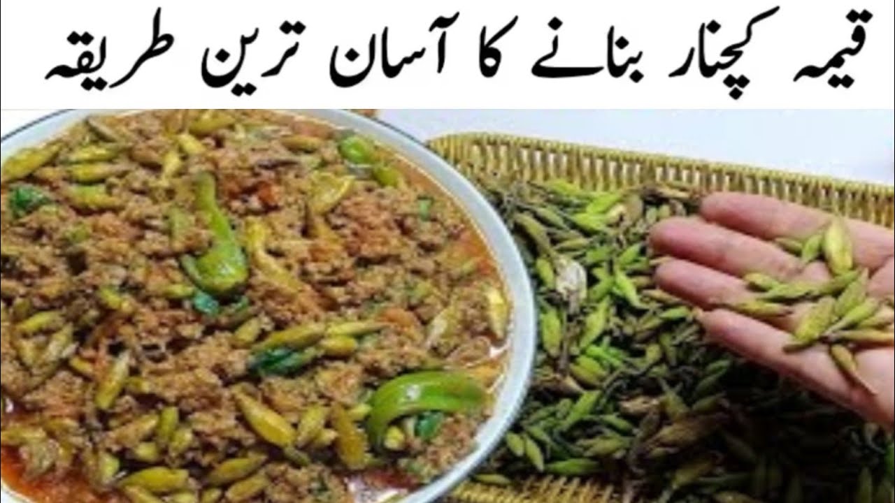 Keema kachnar recipe | mutton kachnar recipe | Orchid tree | kima kachnar banane ka tarika |