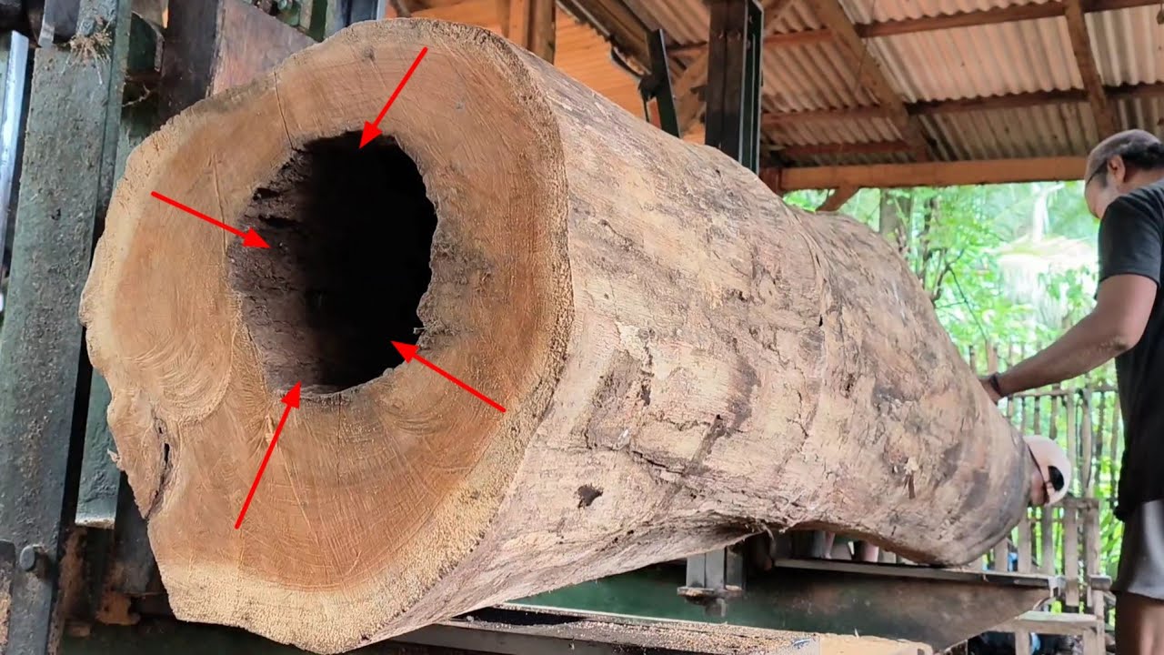 Lubang besar sarang ular!! Kejadian tak terduga menggergaji kayu jati seharga 40 JT di sawmill