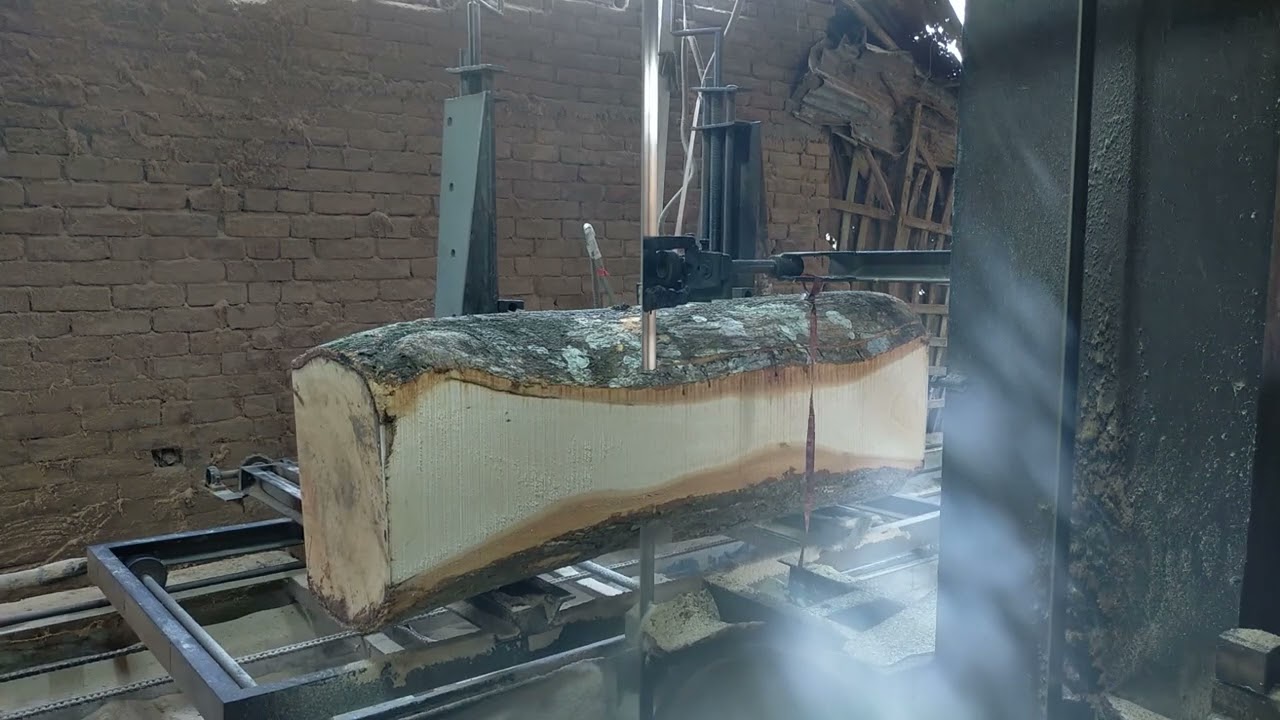 ডিজিটাল ট্রলি স-মিল