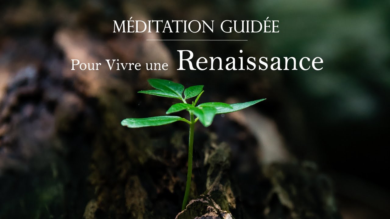 Méditation Guidée - Pour vivre une Renaissance