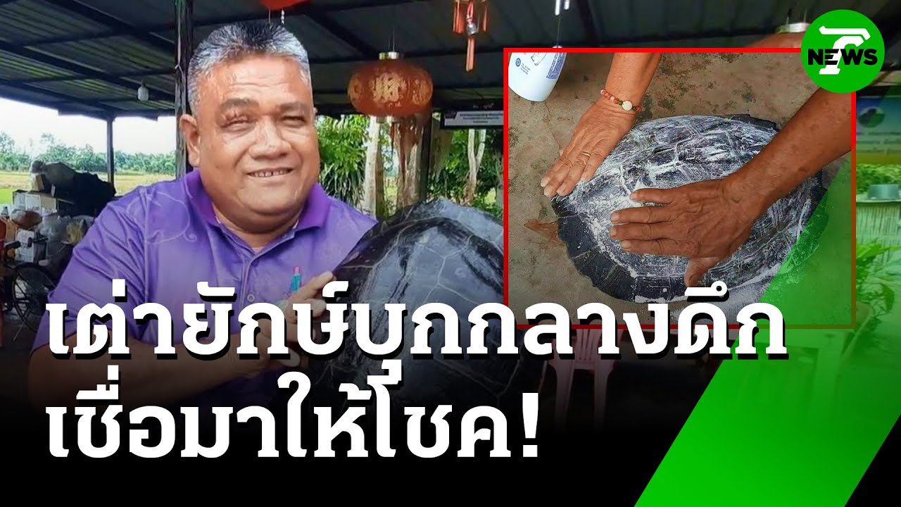 เต่าเข้าบ้าน ตัวเดียวกันเมื่อ 5 ปีก่อน | 30 มิ.ย. 68 | ห้องข่าวหัวเขียว