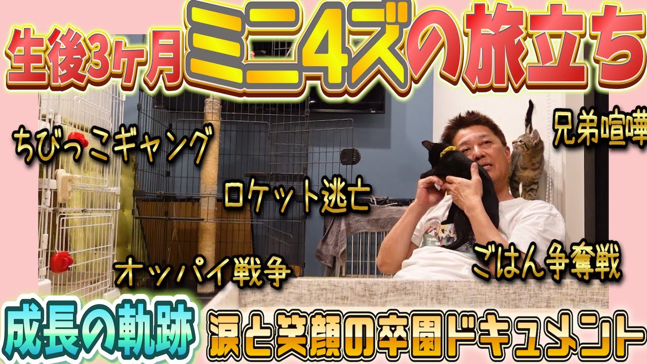 ミニ４ズ、卒園の日。たくましく成長してくれてありがと！完結編