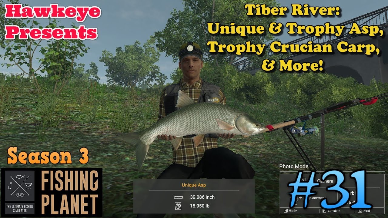 Fishing Planet | #31 - S3 | Tiber River: Unique & Trophy Asp, Trophy Crucian Carp, & MORE!