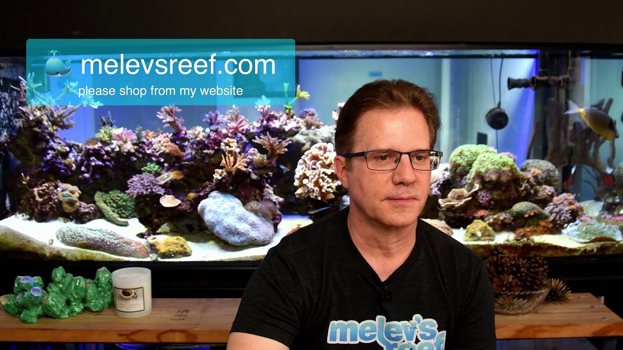 Let's talk about Starting up a Reef Club