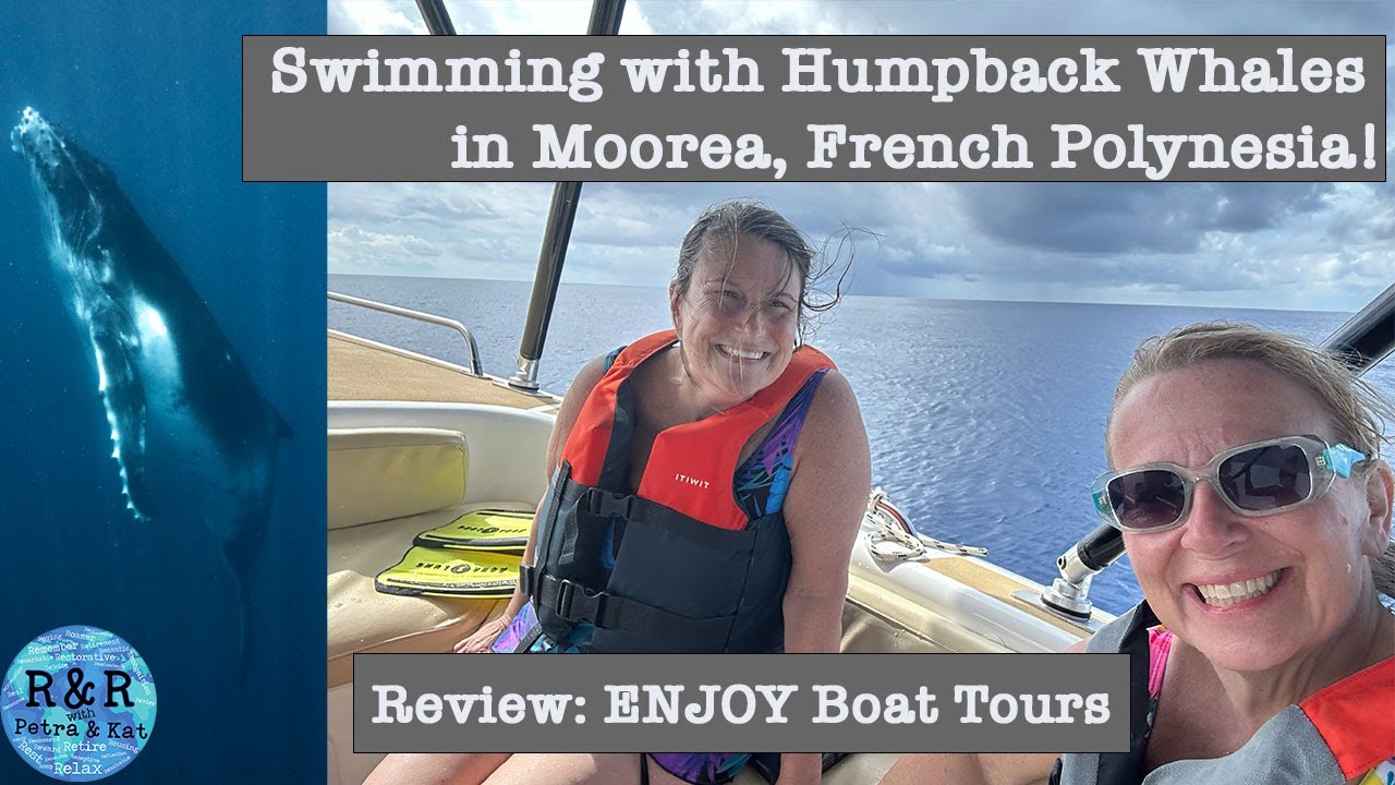 Bucketlist item CHECKED!  We swam with Humpback Whales!
