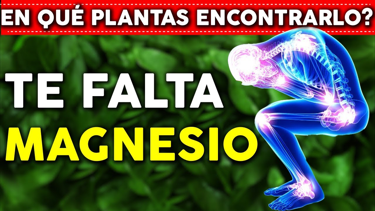 Beneficios del Magnesio. REPARA Y FORTALECE tu cuerpo - Donde encontrarlo?
