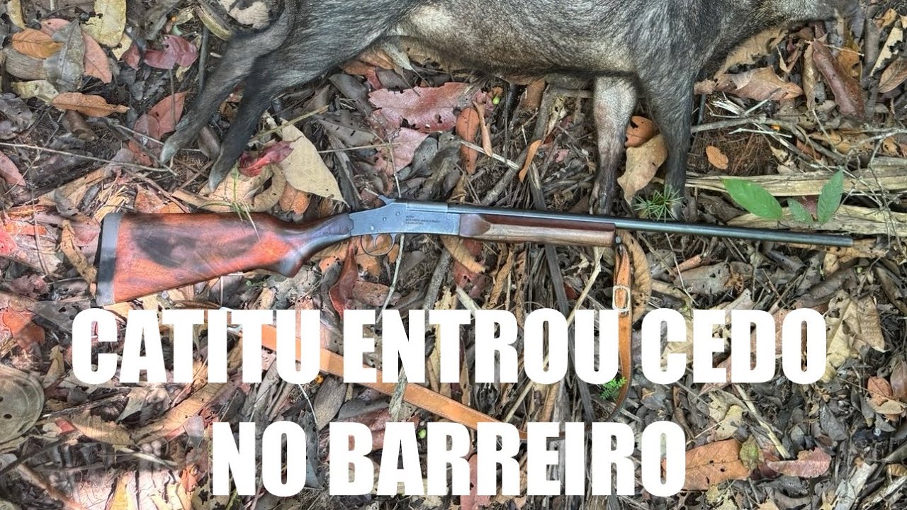 OS CATITU VIERAM NO BARREIRO! MUITO MOVIMENTADO TÁ POR LÁ, PACA, QUEIXADA, ANTA 