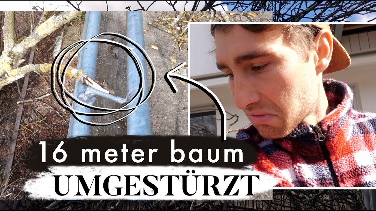 Terasse kaputt - diesmal hat uns der Sturm ordentlich erwischt! | MANDA Vlog