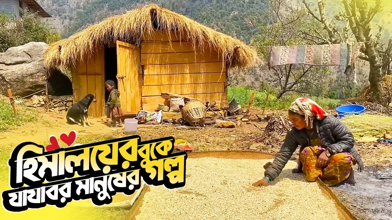 হিমালয়ের মাঝে অপূর্ব সুন্দর গ্রাম ও গ্রামীণ জনপদ Beautiful Mountain Village Life in Nepal Rural Life