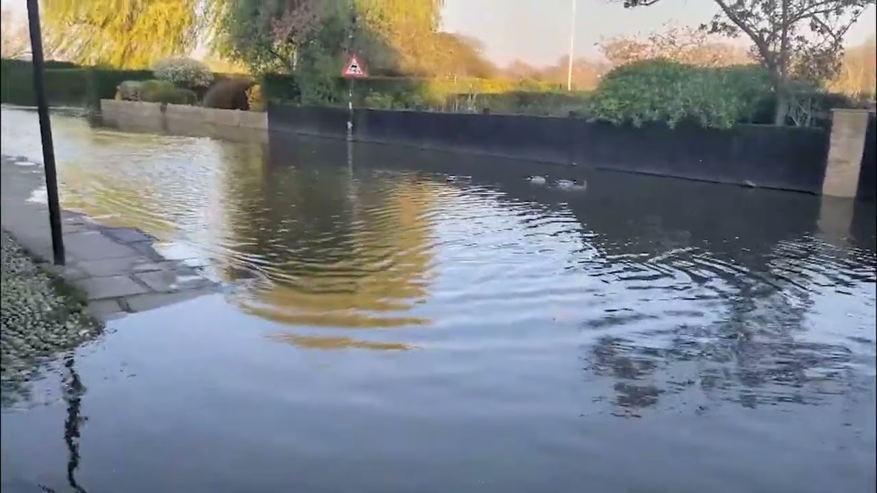 A Stroll Along Chiswick Mall