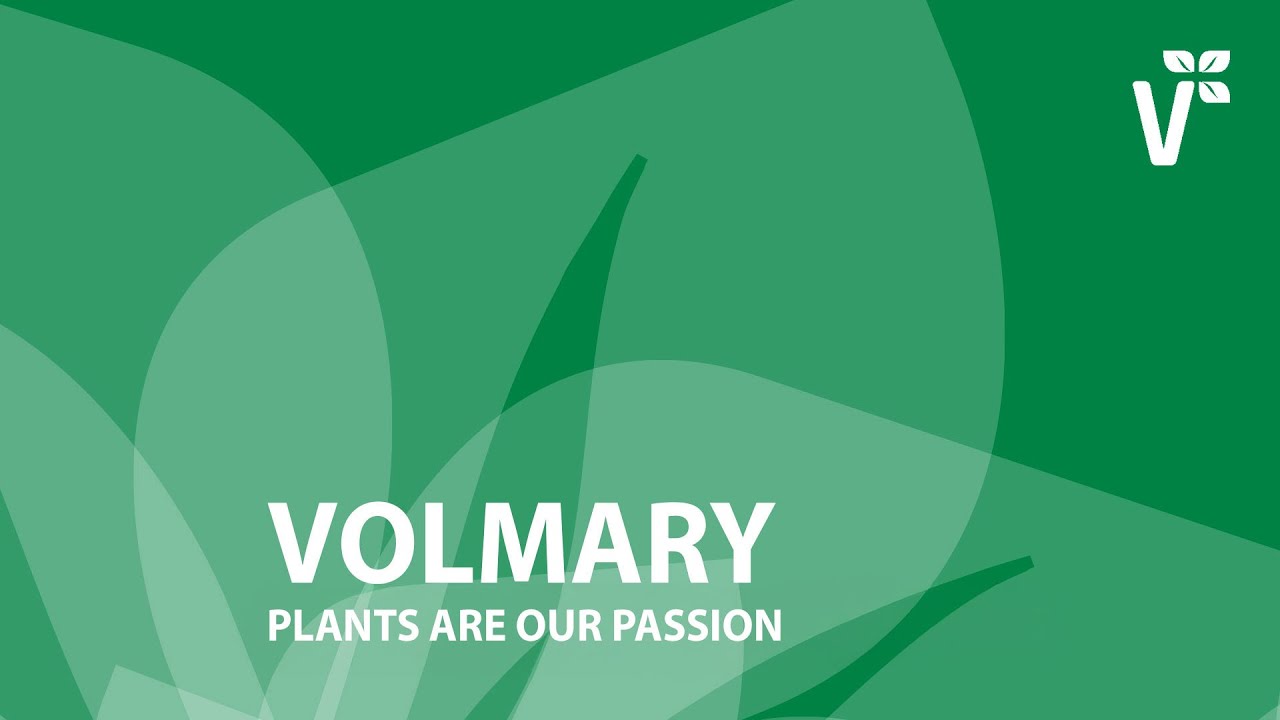 Volmary - Plants Are Our Passion
