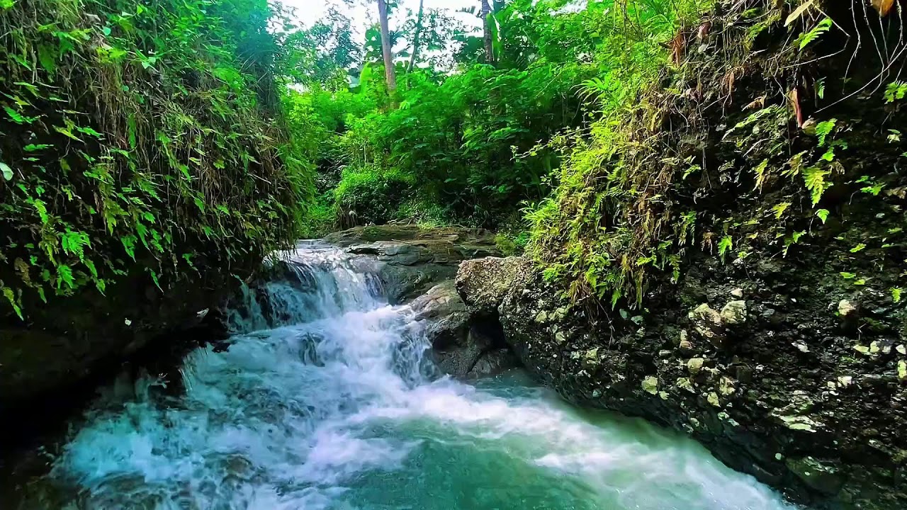 {Mountain Stream Sounds for Deep Sleep Meditation Yoga Bukit Menoreh}