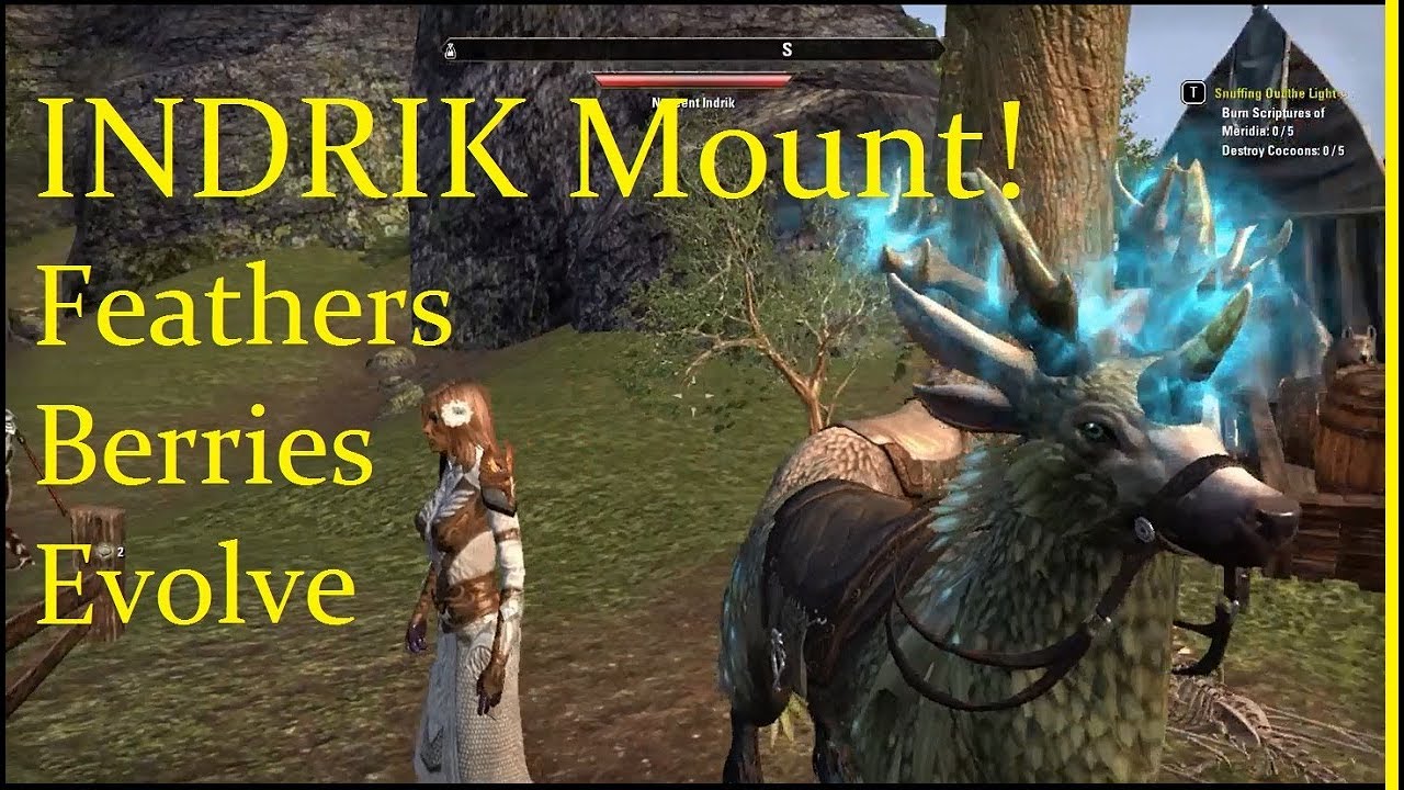ESO INDRIK Mount! First Look Live, Feathers, Berries (Quick Review Guide) Elder Scrolls Online
