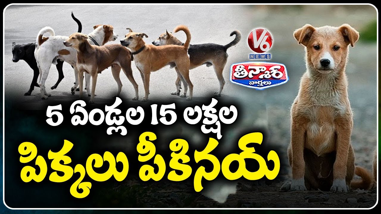 Stray Dogs Terrorize Telangana | 15 Lakh Dog Bite Cases Reported in 5 Years  | V6 Teenmaar