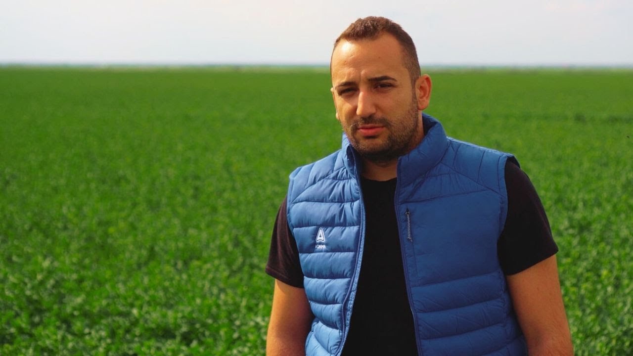 Pachetul ideal de erbicide de la Adama pentru o cultură curată de rapiță