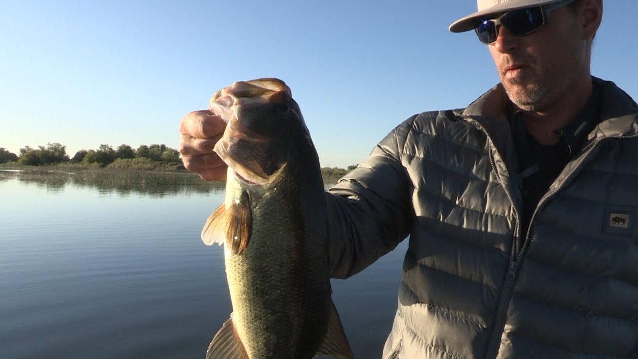 Potholes Reservoir Bass Fishing