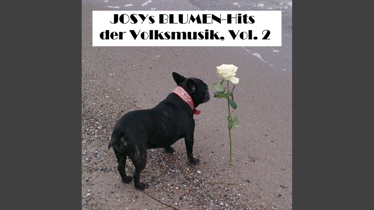 Mein Herz gehört dem Harzerland