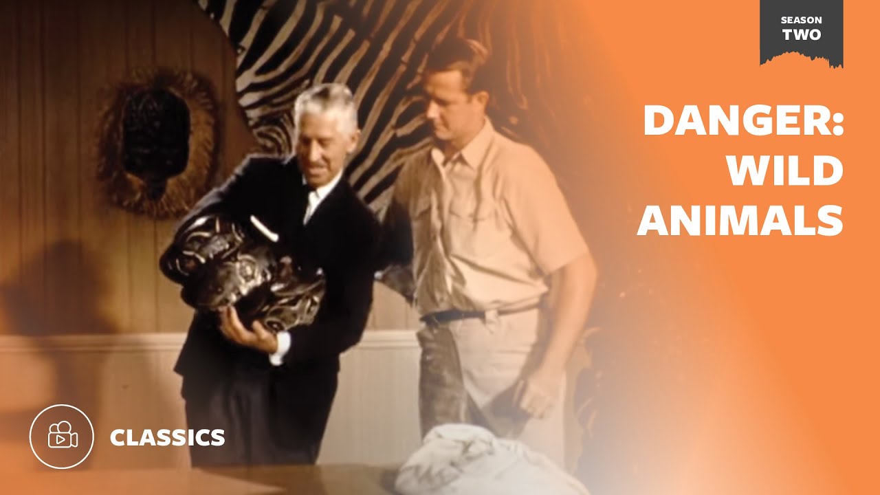 Danger: Wild Animals | Mutual of Omaha's Wild Kingdom