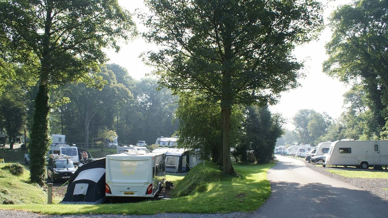 Lower Wensleydale Club site