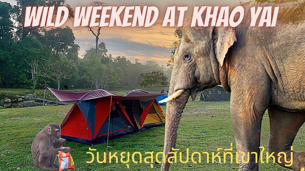 Wild Weekend at Khao Yai National Park Thailand 4K-Night Safari, Haew Narok Waterfall เขาใหญ่