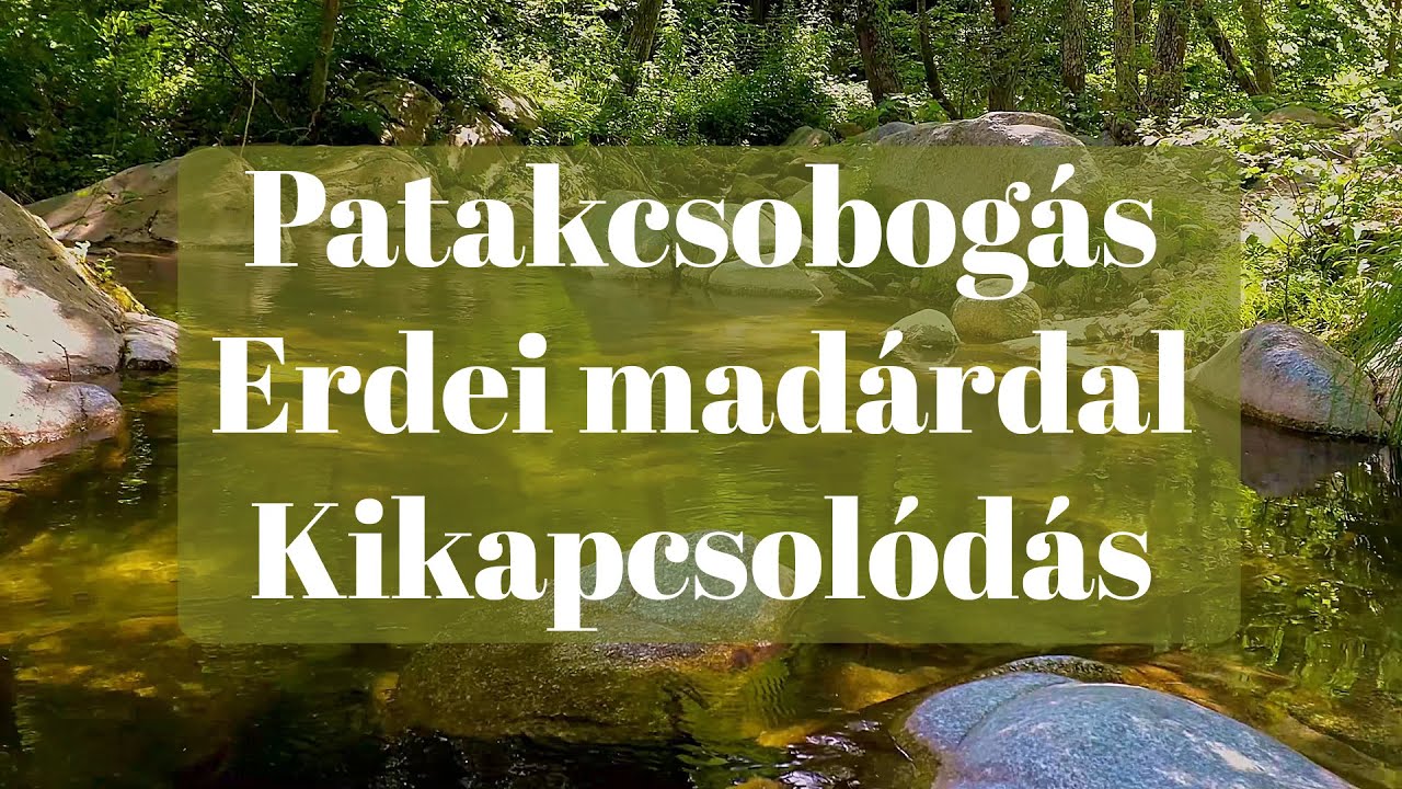 💦PATAKCSOBOGÁS és Erdei MADÁRDAL egy szép tavaszi napon. 🌳