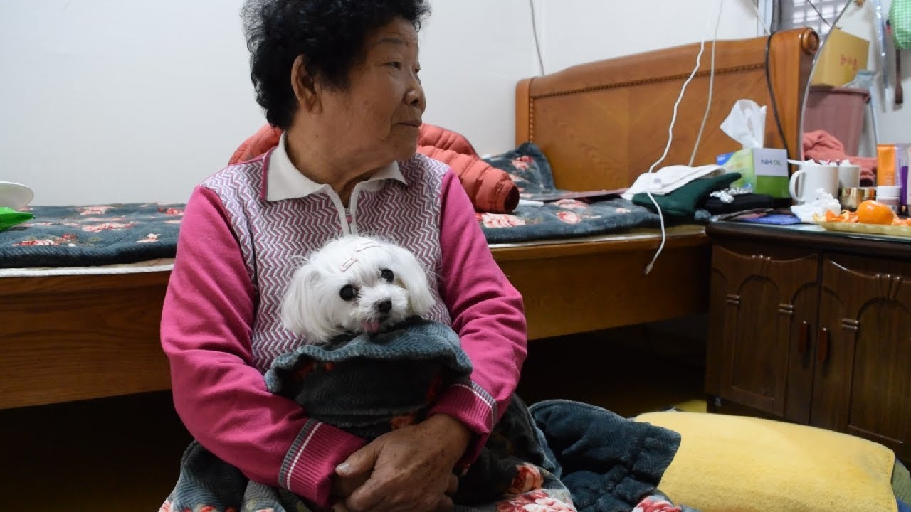 강아지 데려오면 갖다 버린다던 할머니 | 시골할매