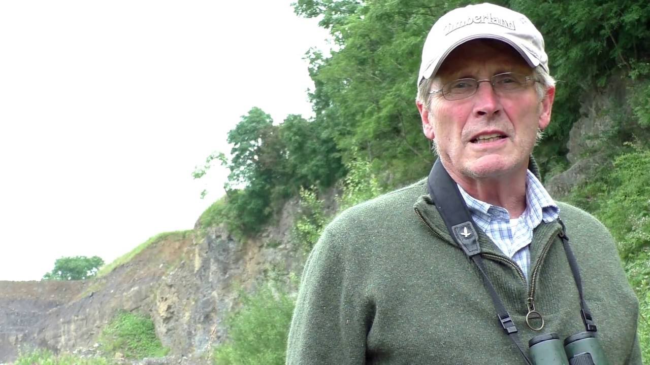 PEREGRINE FALCON PERSECUTION - DRIVEN RED GROUSE SHOOTING