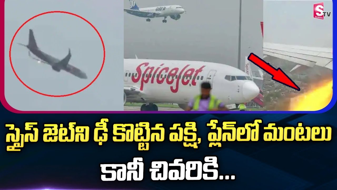 Patna-Delhi SpiceJet Flight Takes Emergency Landing After Wing Catches Fire | SumanTV